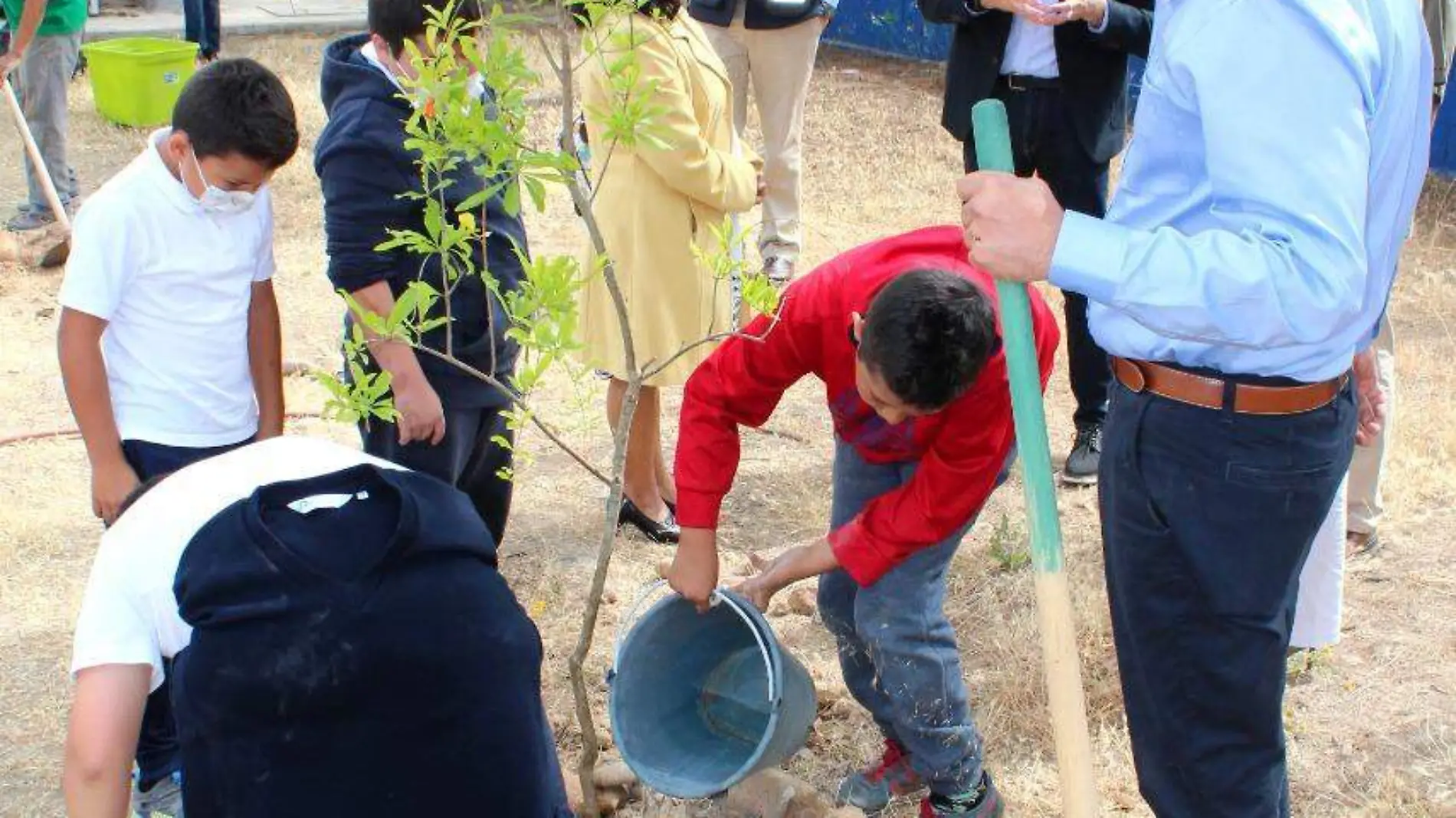 escuelas verdes